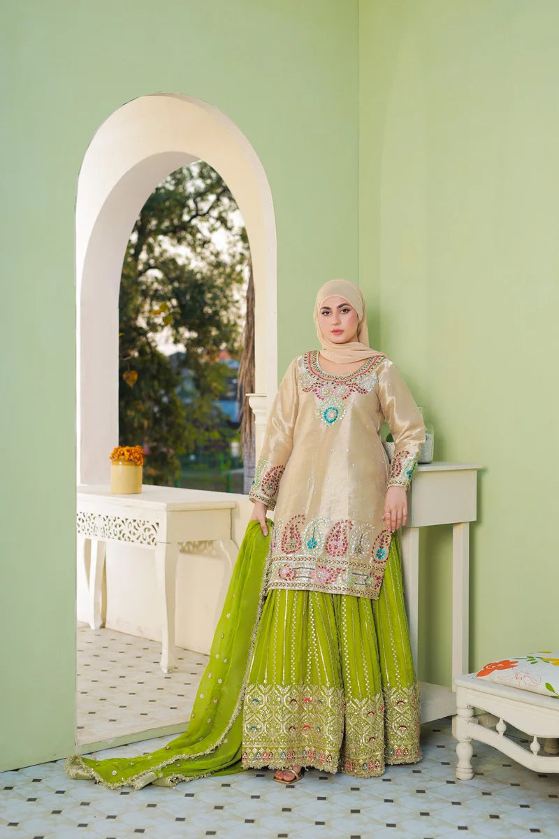 Mehr e Noor by Bint-e-Habib - Bint-e-Habib Luxury Collection 26 image 3