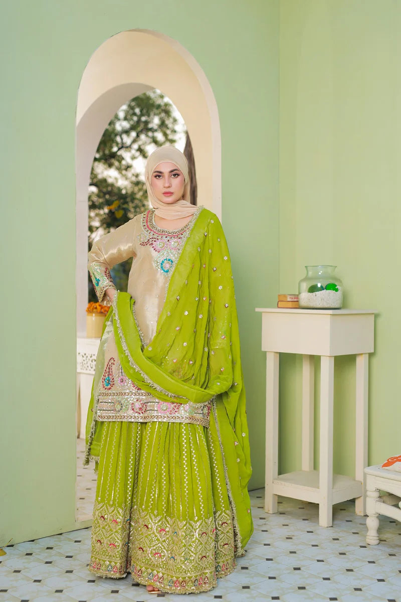 Mehr e Noor by Bint-e-Habib - Bint-e-Habib Luxury Collection 26 image 1
